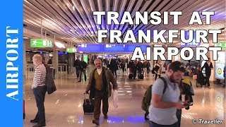 TRANSIT WALK AT FRANKFURT Airport FRA Terminal 1  Connection Flight Transfer Arriving amp Departing [upl. by Colton976]